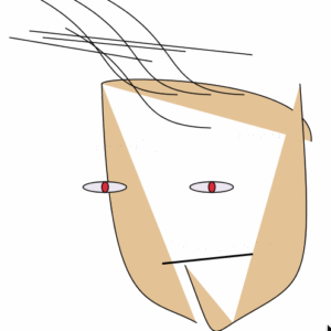Cartoon Faces (GIF)