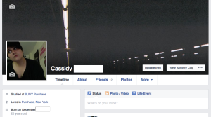 Screen Shot 2015-01-27 at 3.37.40 PM